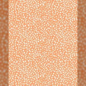 Meet your Posher, Kaila